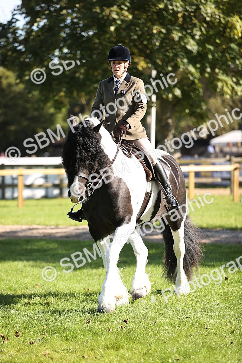 SBM_16881 - S2 - TSR Ridden Pony Showing