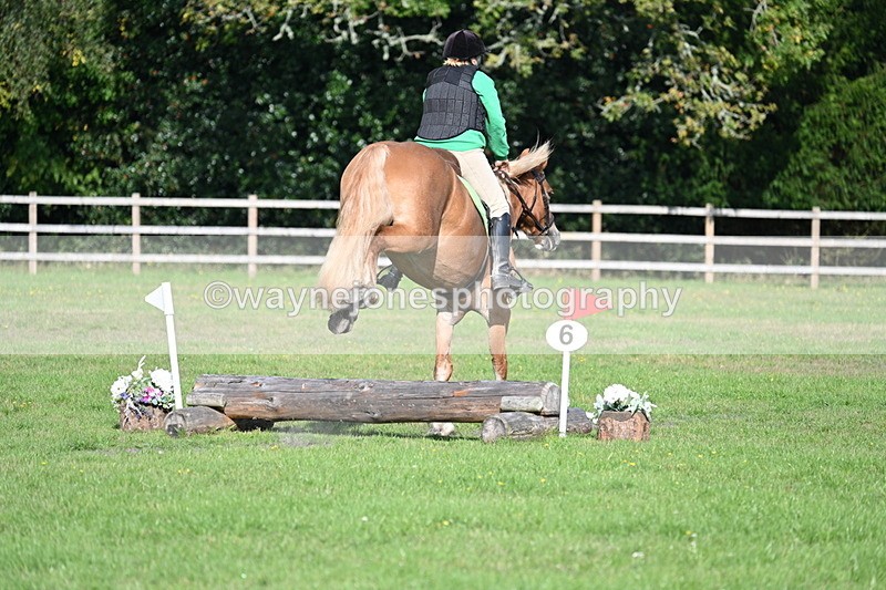 WJ7_3498 - 40cm Time 10:08 to 10:25