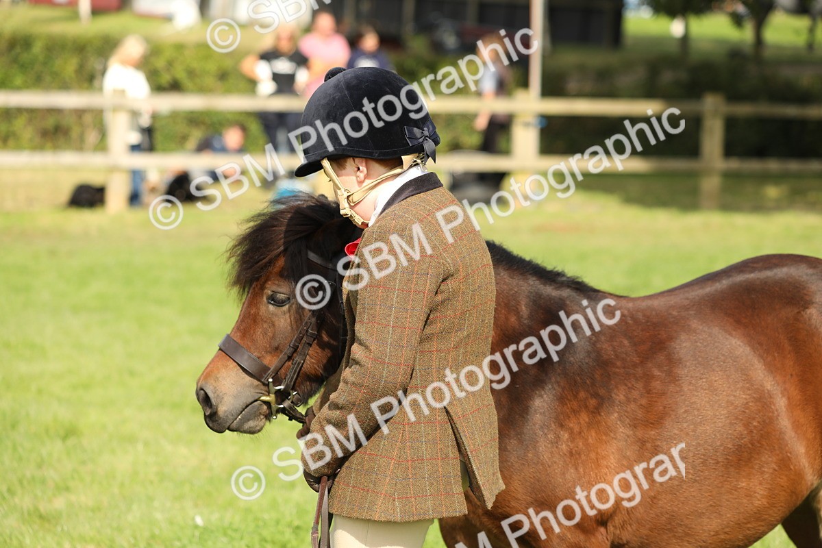 SBM_68613 - S40 - Junior Handler 9-12 Years