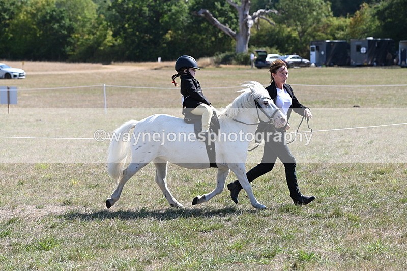 WJ6_7848 - Class 36 Lead Rein
