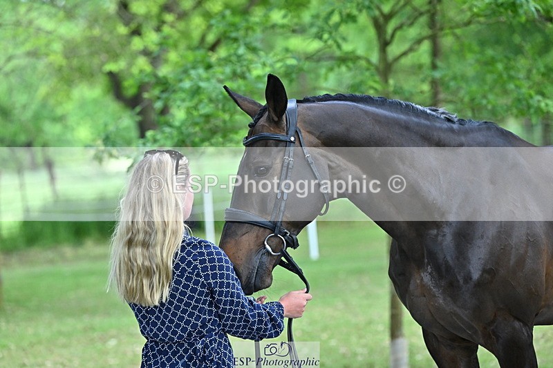 250521A-155244-00816 - B-376-Lucy.Robinson-BELLINE.SECOND.CHANCE