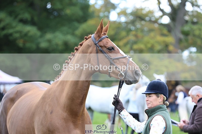 251026A-112438-25423 - G-556-Abi.Jacobs