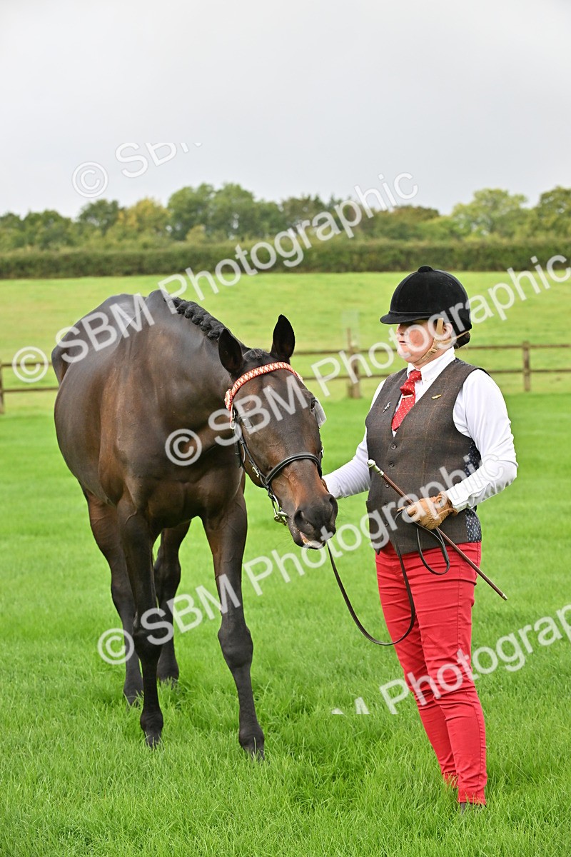 SBM_32636 - S15 - Top Turnout In Hand