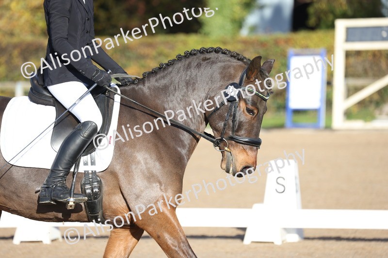 20251102-0285 - Class 2 - Prelim 6