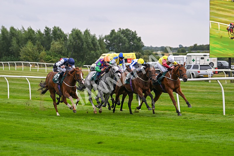 190824-Race 2-The Feminine Urge-3389 - Race 2