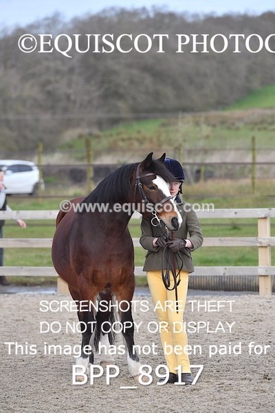 BPP_8917 - RING 2 - M&M