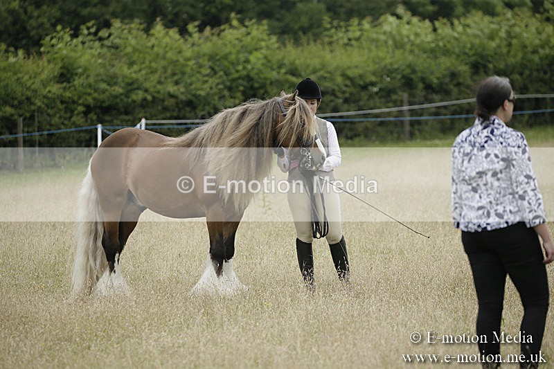 B230619-0742 - Bourne Valley Riding Club Summer Show 23/06/19
