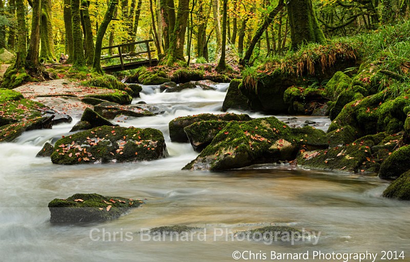LH0A8366sm - Golitha Falls