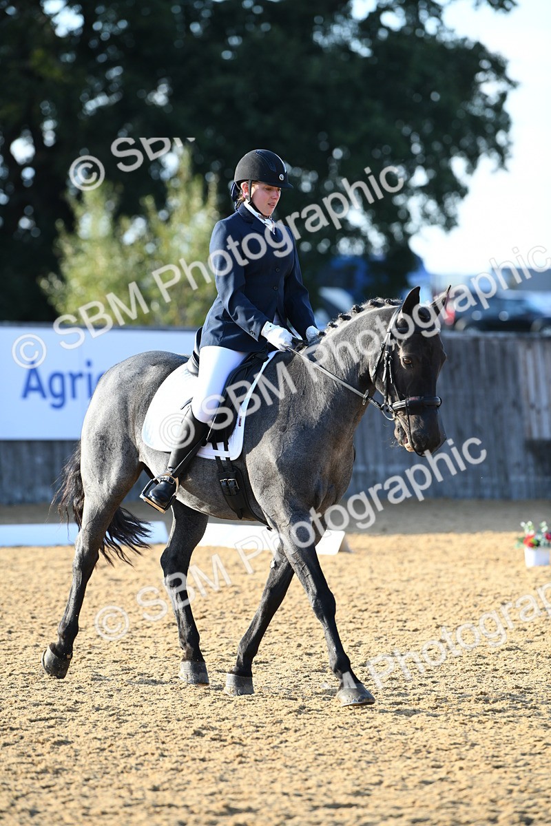 SBM_30694 - D16 - Small Tour Championship - Novice 28