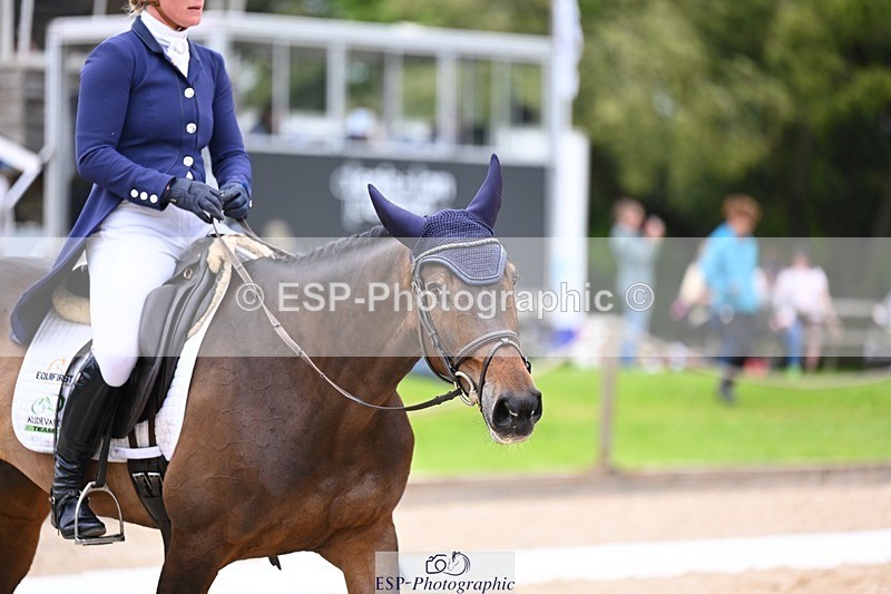 240524-114833-09039 - 521-DIVALI-Elaine_Pen