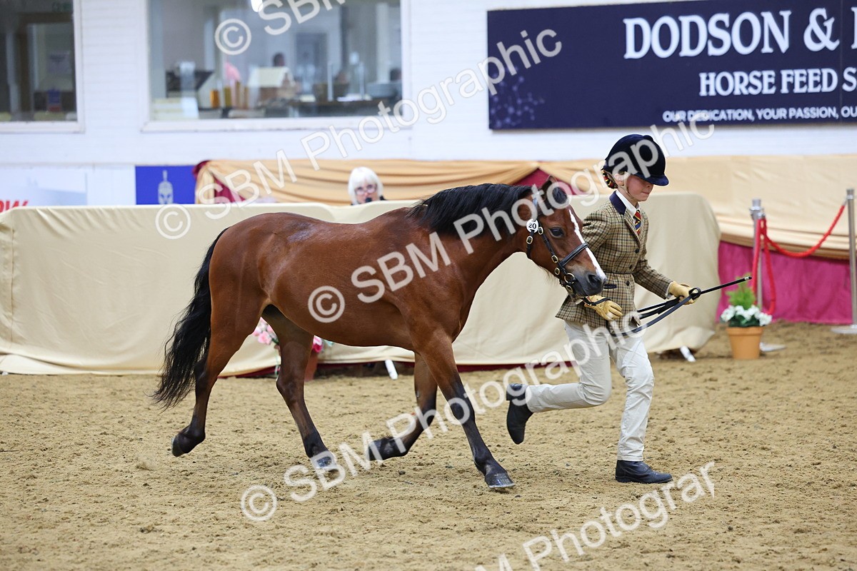 SBM_20903 - Class 902 - Supreme Final IH Veteran