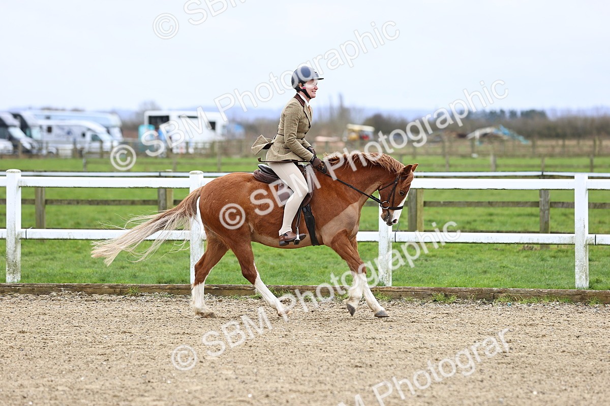 SBM_006751 - Class 29 - 30 - M&M Pure Novice Small-Large Breeds