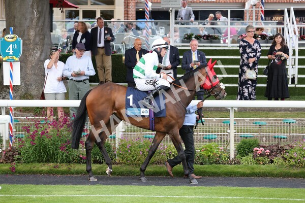 yr23072021r4-6 - Race 4 7.30pm British Stallion Studs EBF Lyric Fillies' Stakes