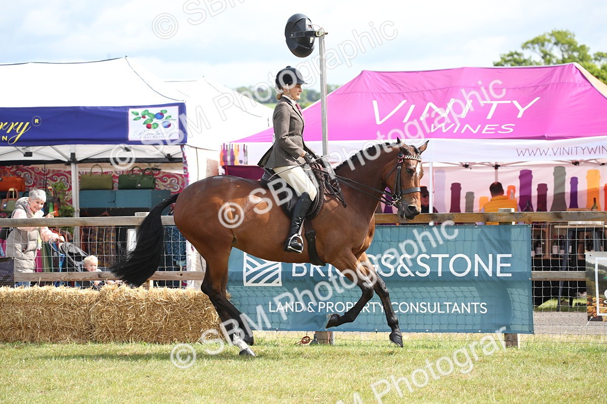 SBM_13211 - Class 95-96 - LIHS BSHA Rising Star Hack Riding Horse
