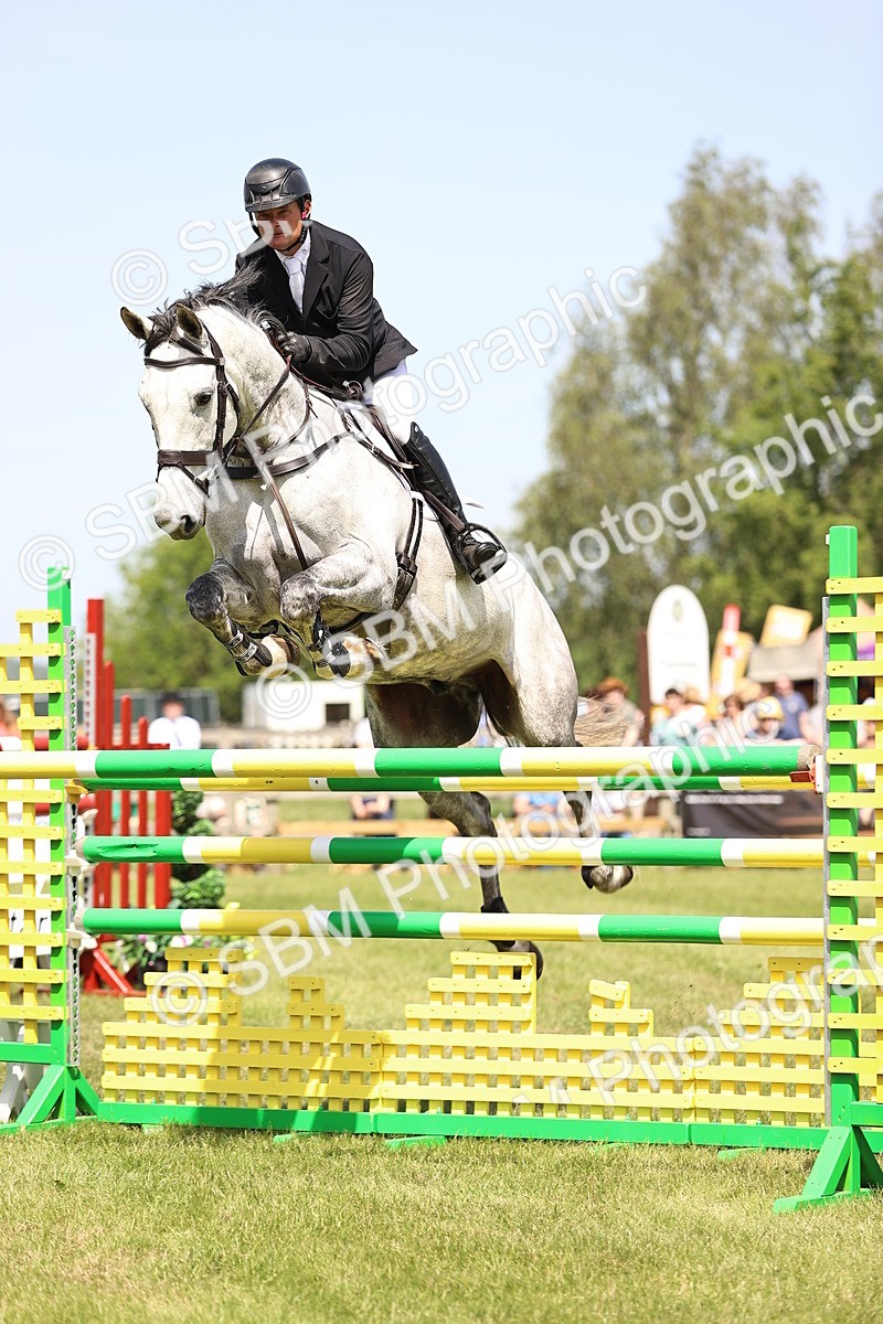 SBM_04039 - Class 201 - British Horse Feedds Speedi Beet HOYS Grade C