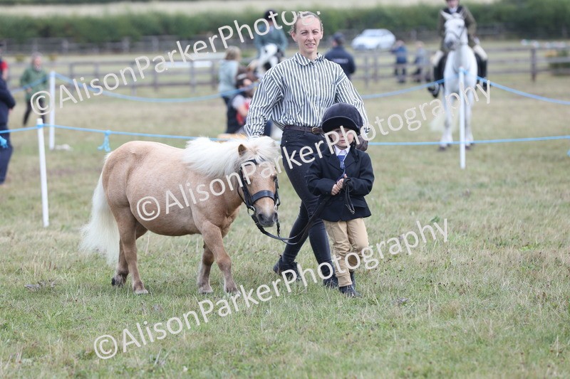 20250831-3025 - Class 23 - Child Handler