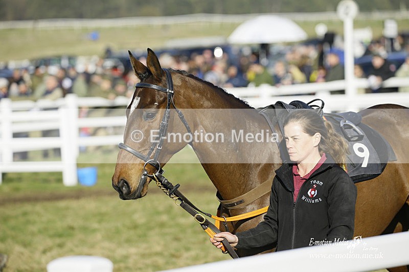 PtP 270222 251 - South & West Wilts Point-to-Point Larkhill 27/02/22