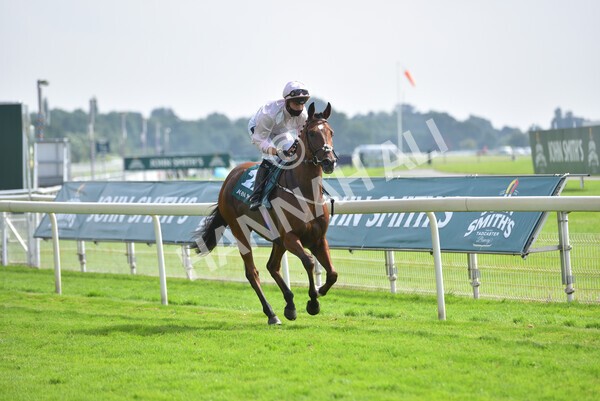 yr10072021r5-13 - Race 5: 4.05pm John Smith's Cup