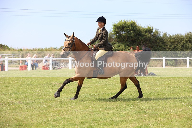 JPP_3723 - Class 23: Working Hunter 80cm