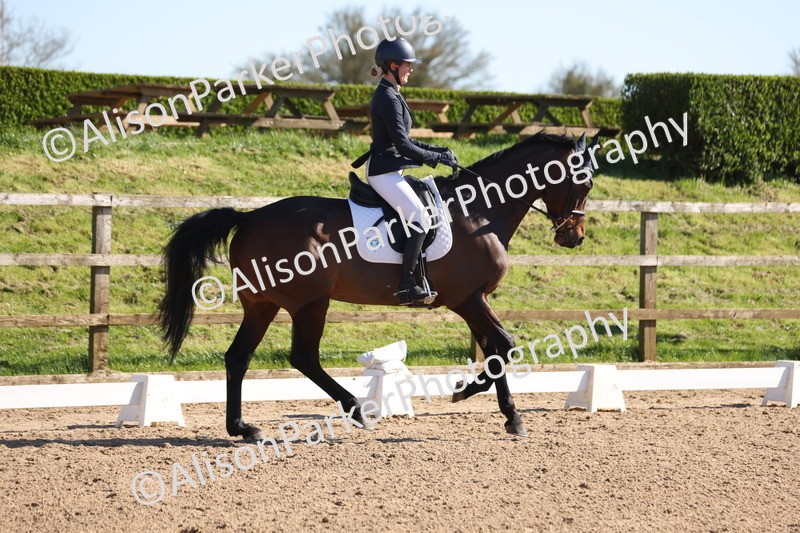 20260318-0551 - Class 5 - Novice 2