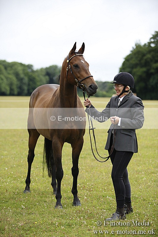 BVR160717-50 - Ring 1 BVRC Show 16/07/17