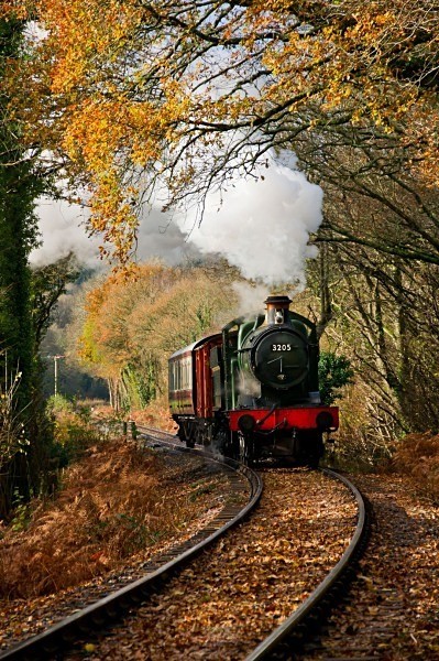 Autumnal colours - Trains of Thought