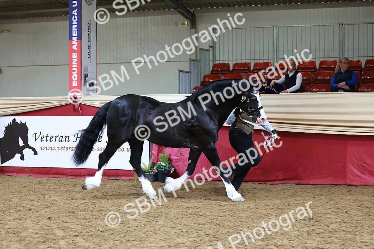 SBM_17403 - Class 951 - M&M IH Supreme Final