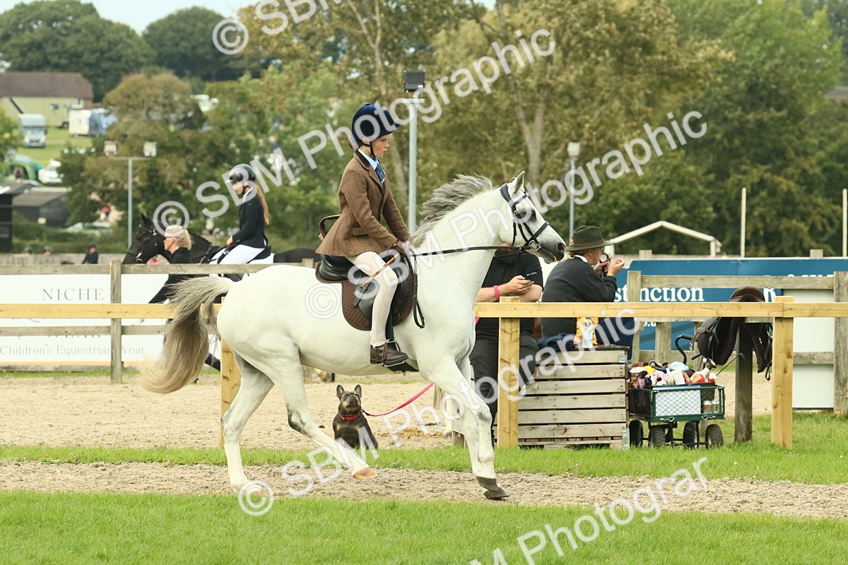 SBM_69919 - S59 - Mountain & Moorland Ridden Small Breeds