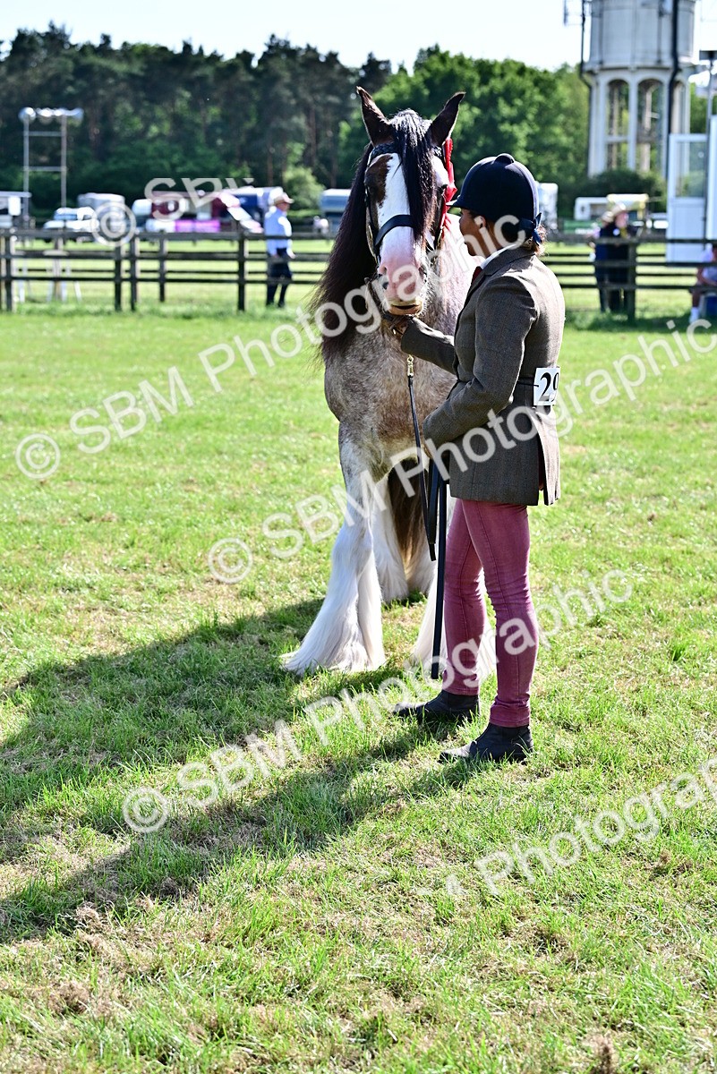 SBM_09506 - Class 63-65 - Traditional Gypsy Cobs In Hand & Ridden