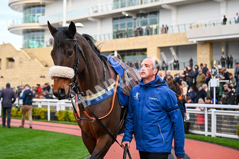 141224-Race 6-Western Knight-0826 - Race 6