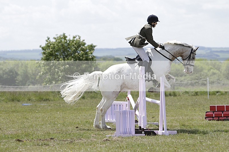BVHT 140517 N-349 - Class 2 SJ Novice 14/05/17