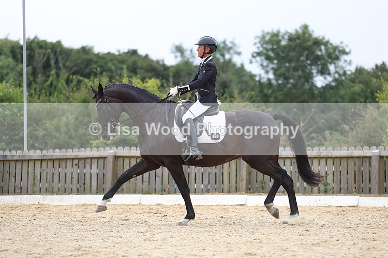 3E7A7261 - Class 9: Elementary 4 2024 - No sections