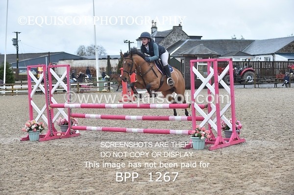 BPP_1267 - CLASS 4 Club/ Unaffiliated 80cms Open