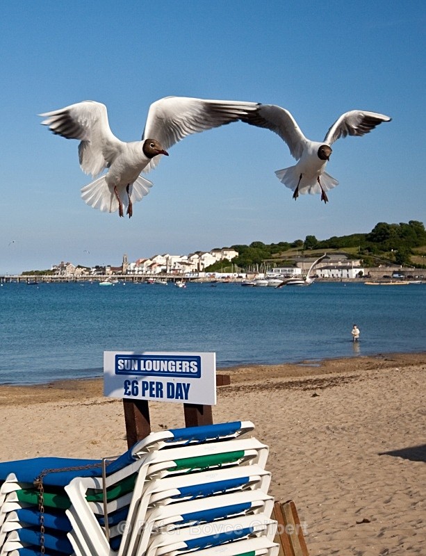 'So, have you got £6 then?' - The Coast