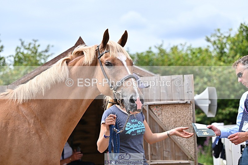 250716-132733-00528 - Trot Up 12.30 to 1.30