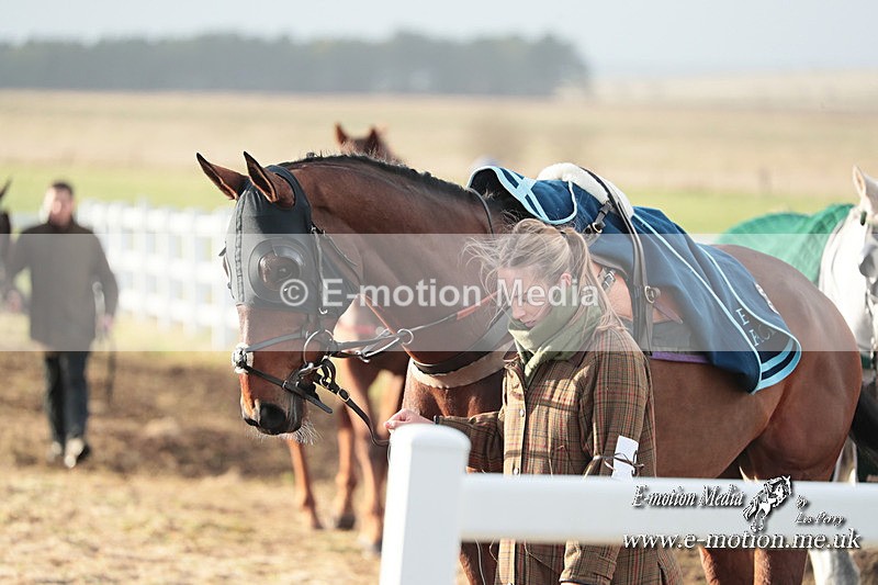 PtP 311223 1028 - Larkhill Racing Club Point-to-Point 31/12/23