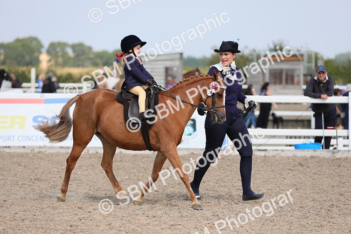 SBM_14007 - Class 309 Lead Rein Pony