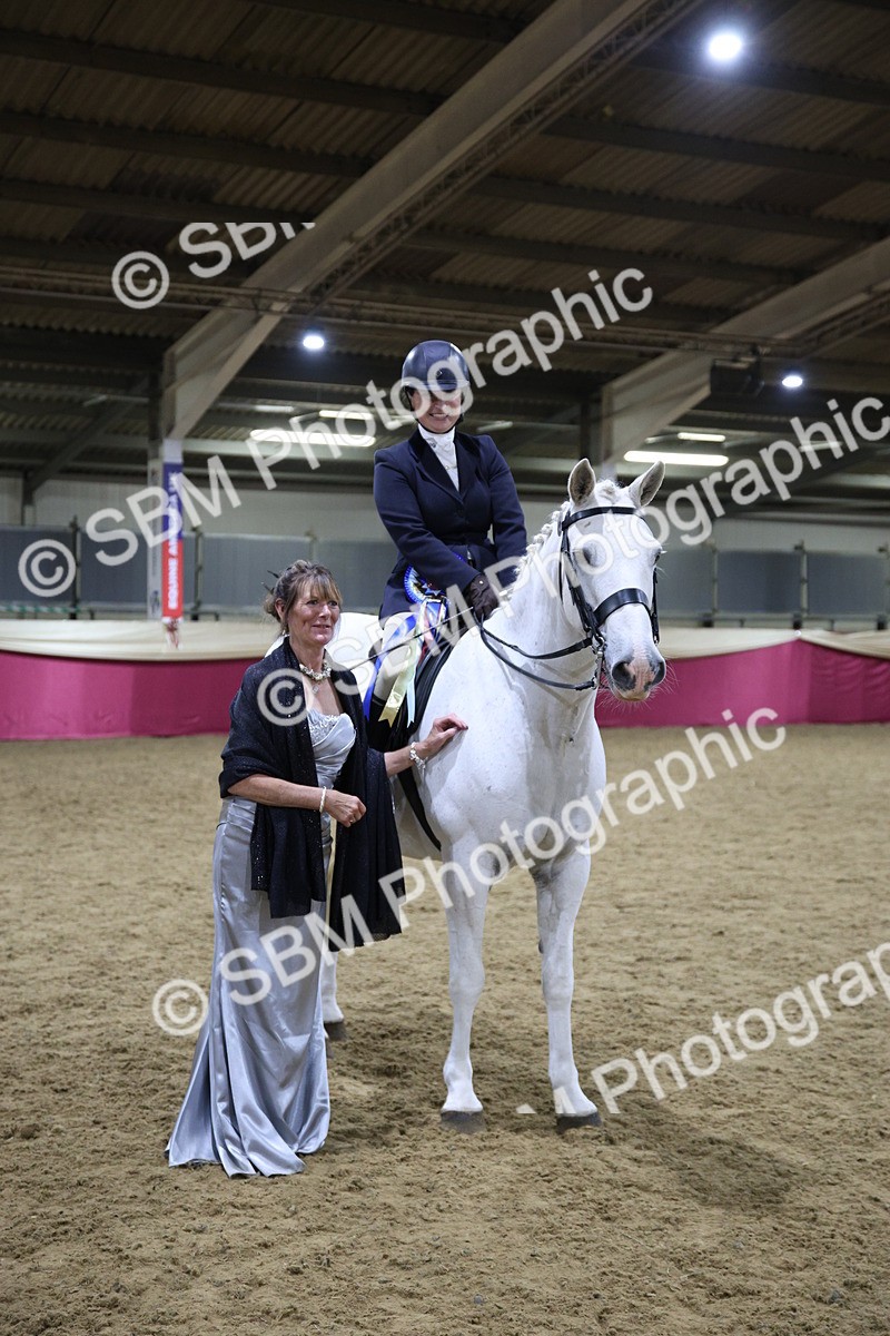 5K7A1568 - Class O Ridden Show Horse Champ