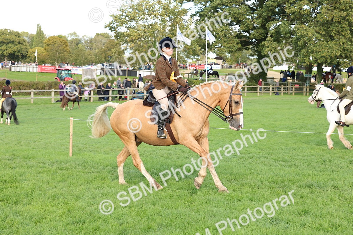 SBM_50217 - S34 - Novice & Newcomers Working Hunter