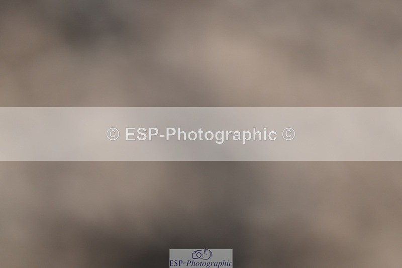 250301-095747-00138 - 70cm