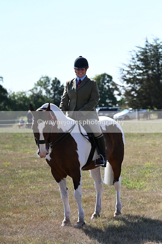 WJ7_3196 - Class 8 Ridden Tack & Turnout
