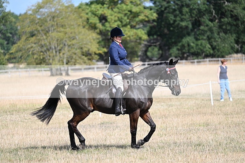 WJ7_6284 - Class 13 Ridden Veterans