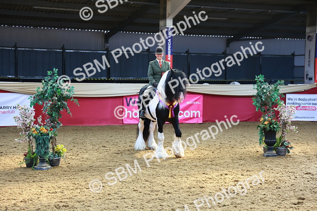 SBM_12774 - HOYS Veteran Qualifier - Ridden Champ