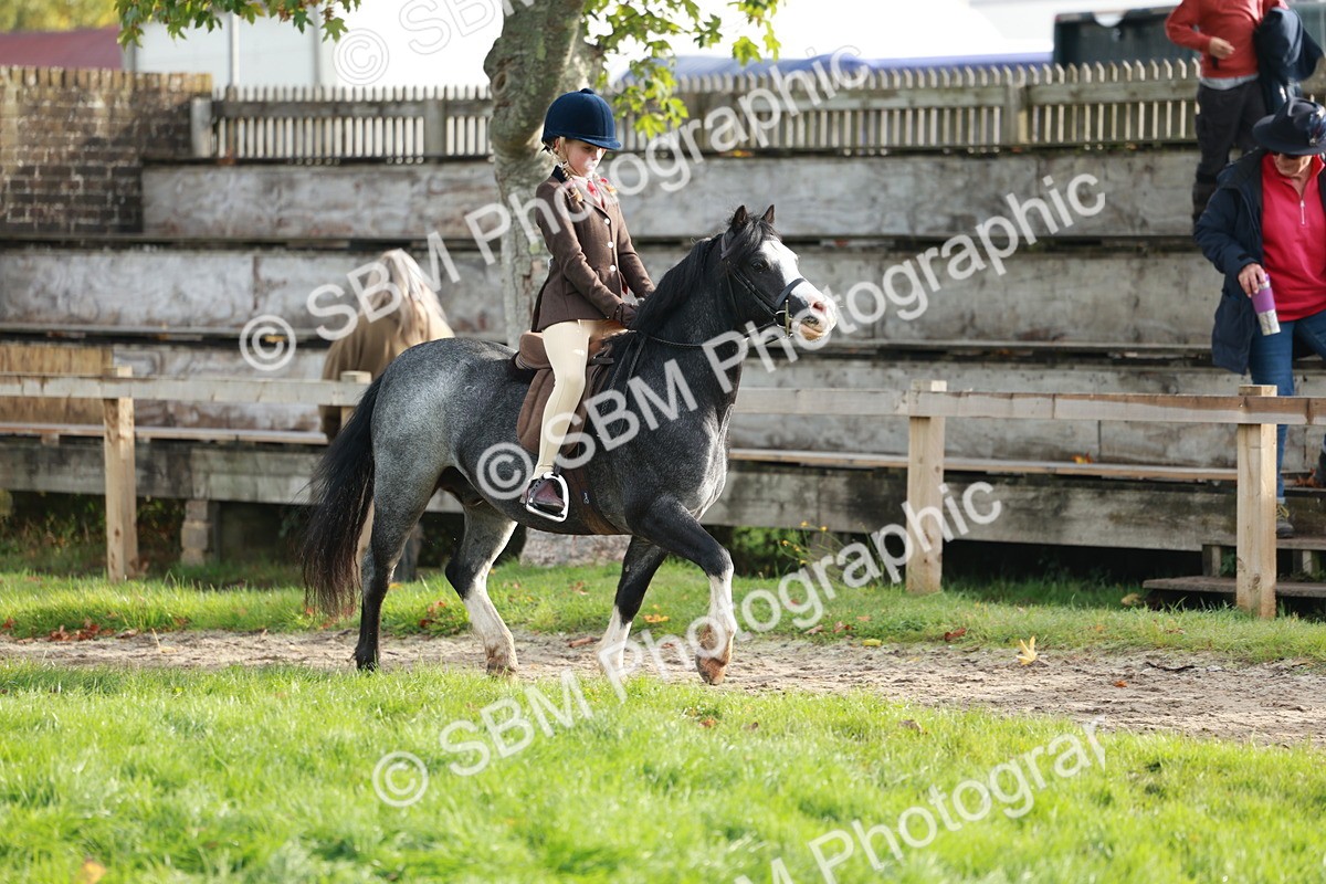 SBM_56372 - S39 - Starters In Hand Showing