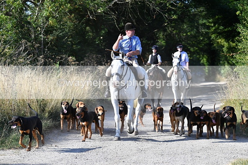 WJ5_4801 - Walk out with the hounds