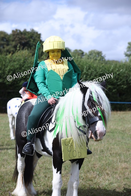 20250831-3554 - Class 26 - Fancy Dress