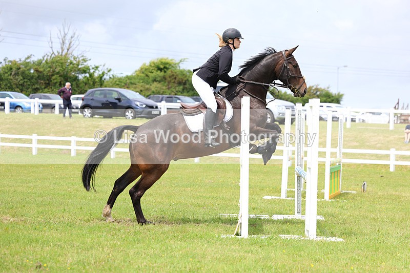 3E7A7225 - Class 13: Senior British Novice/90cm open