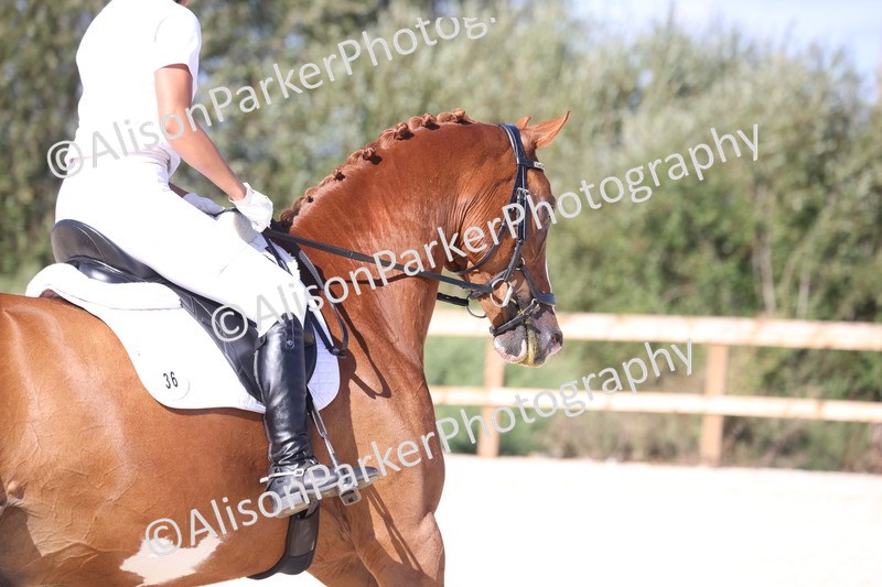 20260905-1550 - Class 5 - Novice 2