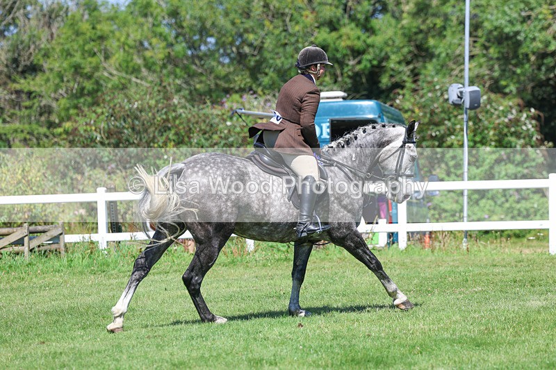 3E7A9365 - Working Hunter Championship