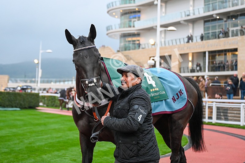 131224-Race 7-Bhaloo-0044 - Race 7